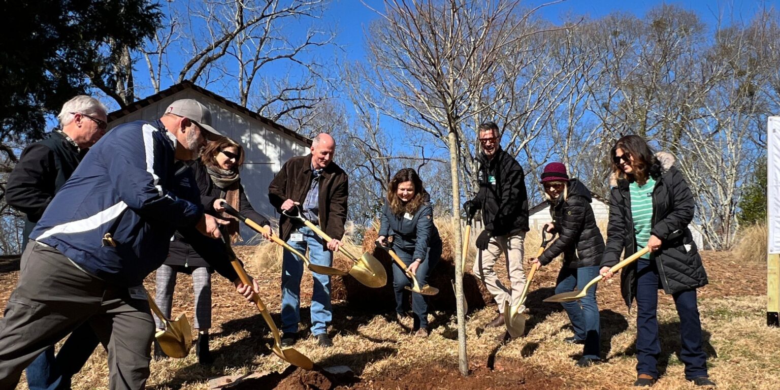 Roswell staff use shovels to plant a tree